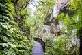 Mangapohue Natural Bridge walk in Waitomo in summer