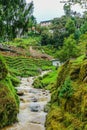 Mangde Chhu (Tongsa River) near a Dzong in Bumthang, Bhutan. Royalty Free Stock Photo