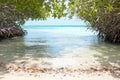 Mangel Halto beach on Aruba island