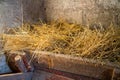 A manger with straw in a village barn.
