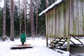 Manger for winter feeding of wild animals in forest. Forest animal feeder in winter. Defocused