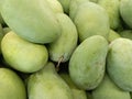 Mangifera indica mango manggo Royalty Free Stock Photo