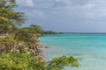 Mangle Halto Lagoon Aruba