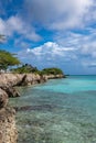 Mangle Halto Lagoon Aruba