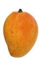 one orang coloured mango on a white background