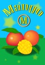 Mango ABC hornbook alphabet Children's.