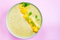 Mango, Banana, Pineapple and Oatmeal Smoothie in the Bowl