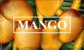 Mango banner background. Bunch of fresh sweet fruits 3d detailed illustrations