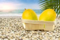 Mango in a basket by the warm sea