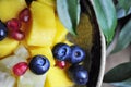 Mango, blueberry, pineapple, and pomegranate seeds Royalty Free Stock Photo