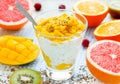 Mango chia pudding with fresh citrus fruit for breakfast, dietary food concept