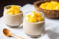 mango chia seed pudding with a splash of agave syrup