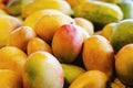 The mango is a citrus fruit that grows in the Intertropical Zone and is fleshy and sweet pulp. It stands out among its main