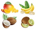 Mango, Coconut, kiwi and banana Vector realistic set collection fruits isolated