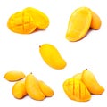 Mango collection Royalty Free Stock Photo