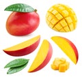 Mango Collection Isolated Clipping Path