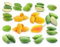 Mango collection isolated on a white Royalty Free Stock Photo