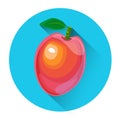 Mango Colorful Fruit Icon