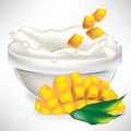 Mango creamy milk splash in bowl