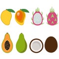 Mango, dragon fruit, pitaya, papaya and coconut whole and cut tropical exotic sweet fruit pink green orange brown white summer