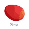 Mango Exotic Juicy Stone Fruit Vector Isolated