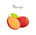 Mango Exotic Juicy Stone Fruit Vector Isolated