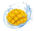 Mango falling into water splash isolated on white background Royalty Free Stock Photo