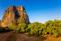 Mango Farm and Mountain Royalty Free Stock Photo