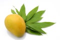 mango,Fresh mango with green leaf isolated on white background Royalty Free Stock Photo