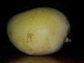 Mango fruit in black background