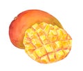 Mango fruit - cuted piece. Watercolor Royalty Free Stock Photo