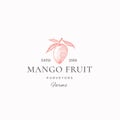 Mango Fruit Farms Abstract Vector Sign, Symbol or Logo Template. Hand Drawn Mango with Leaves Sketch with Retro