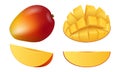Mango fruit icon set, realistic style