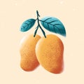 mango fruit illustration with creative grainy coloring for design element.