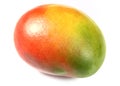The mango fruit isolated