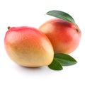 Mango fruit isolated Royalty Free Stock Photo