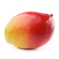 Mango fruit isolated Royalty Free Stock Photo