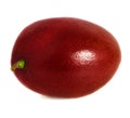 Mango fruit isolated Royalty Free Stock Photo