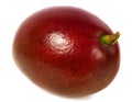 Mango fruit isolated Royalty Free Stock Photo