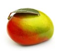 Mango fruit isolated. Royalty Free Stock Photo