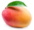 Mango fruit with leaf isolated on a white background. Royalty Free Stock Photo