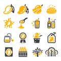 Mango fruit and product icon set