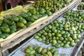 Mango Fruit shop Royalty Free Stock Photo