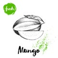 Mango fruit sketch style vector illustration. Hand drawn poster. Exotic fruit with leaf and slice. Retro illustration Royalty Free Stock Photo