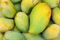 Mango fruit , thailand Royalty Free Stock Photo
