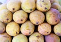 Mango fruit , thailand Royalty Free Stock Photo