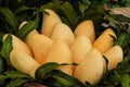 Mango fruit , thailand Royalty Free Stock Photo