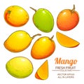 Mango fruit vector