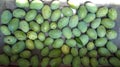 Mango harvest. Mangoes in large quantities are lined up on the cement floor. Closeup photo.