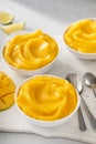 Mango ice cream or nice cream, blended frozen mango dessert Royalty Free Stock Photo